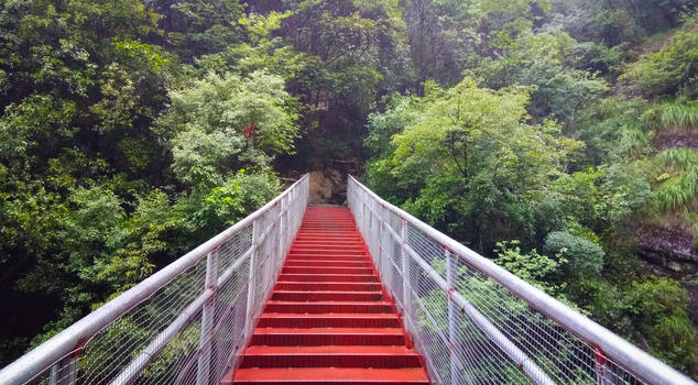 绿色森林中的红色栈道图片素材免费下载
