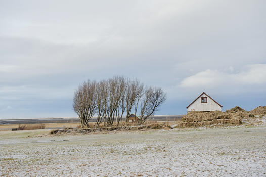 冰岛旷野小房子和树图片素材免费下载