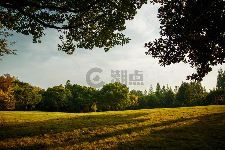 杭州学士公园秋天美景图片素材免费下载