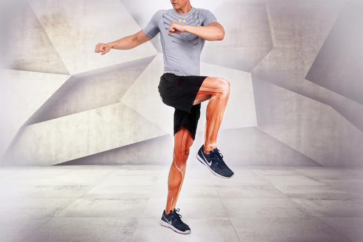 健身男士腿部肌肉图片素材免费下载