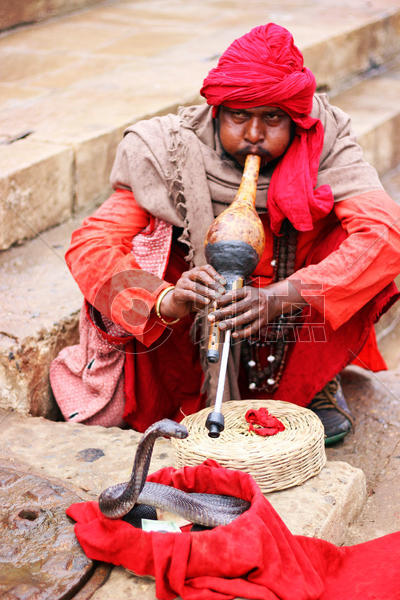 印度吹笛子蛇跳舞的艺人图片素材免费下载