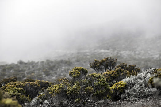 火山灰地带风景图片素材免费下载