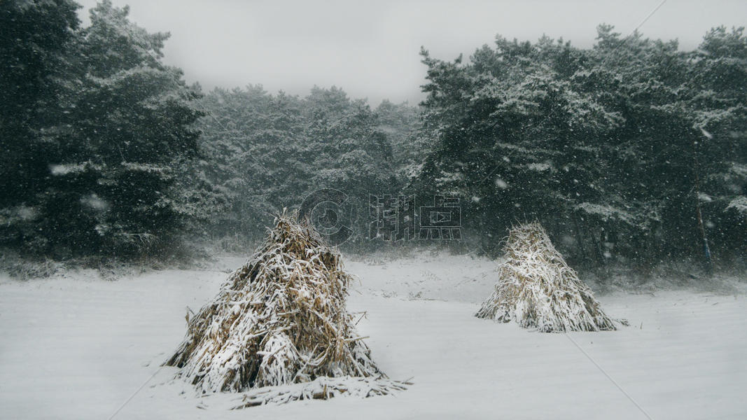 抚顺萨尔浒景区冬季下雪天美景图片素材免费下载