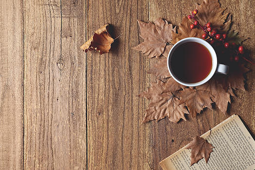 咖啡秋天树叶图片素材免费下载