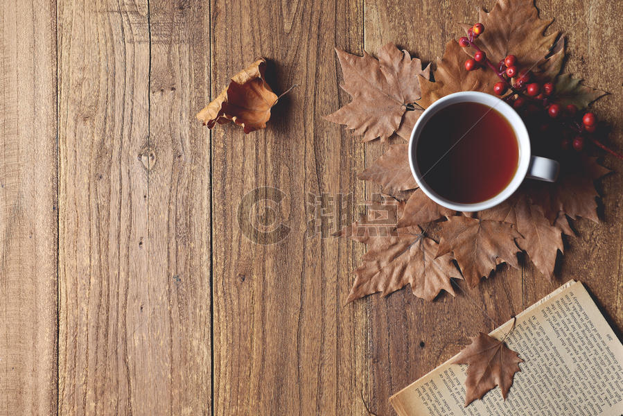 咖啡秋天树叶图片素材免费下载