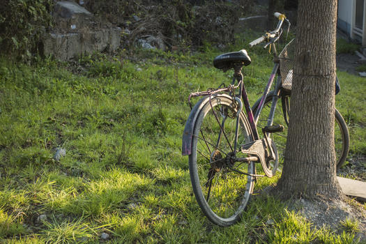 树边的自行车图片素材免费下载