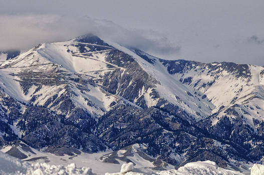新疆雪山森林图片素材免费下载