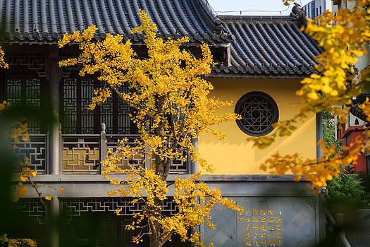 南京毗卢寺图片素材免费下载