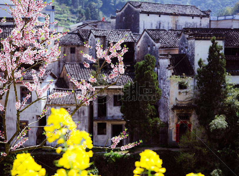 春季江南古村落与盛开的油菜花图片素材免费下载