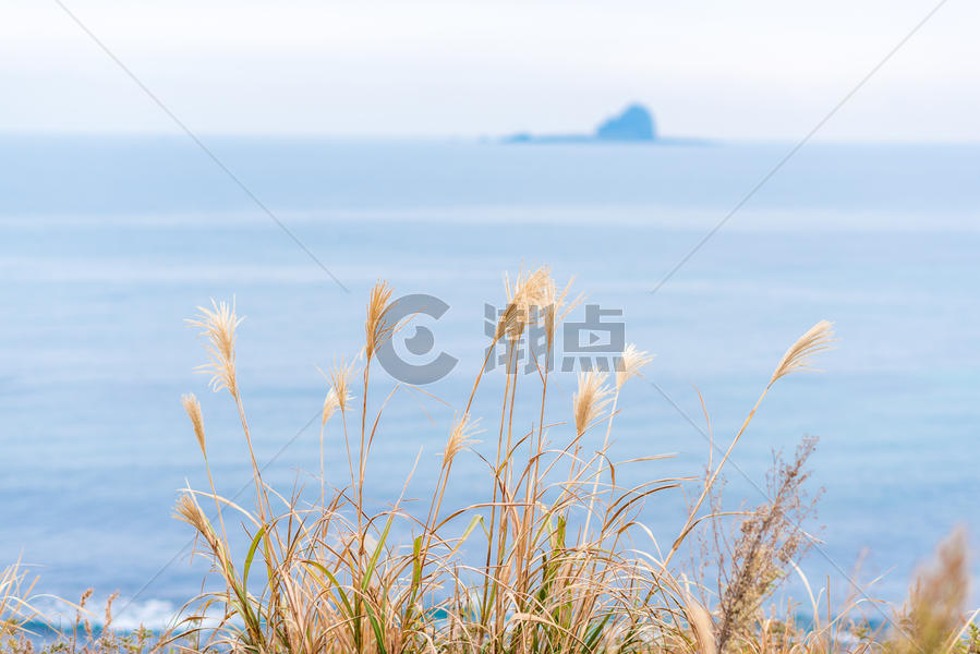 韩国济州岛秋季海边风光图片素材免费下载