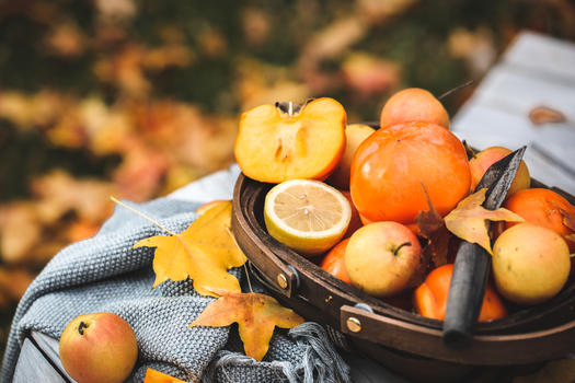 秋冬户外野餐水果图片素材免费下载