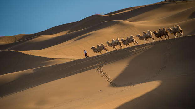 沙漠驼铃图片素材免费下载