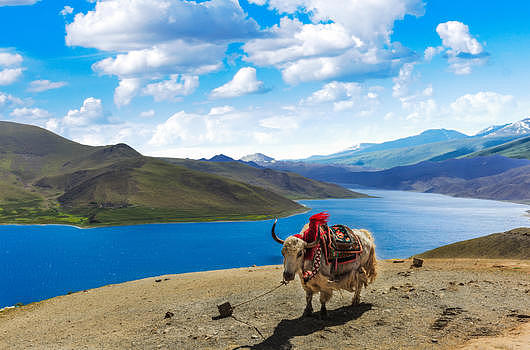 西藏西藏天堂以上图片素材免费下载