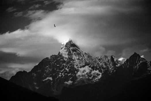 寂寥冬季雪山上飞翔的老鹰图片素材免费下载