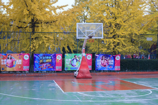 银杏树边的篮球场图片素材免费下载