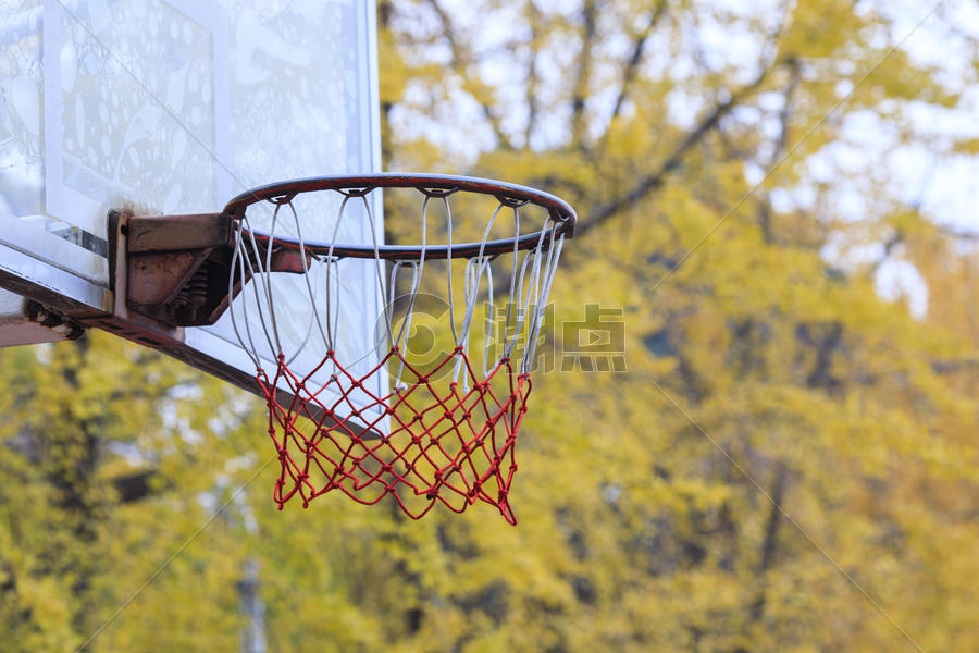 银杏树边的篮球场图片素材免费下载