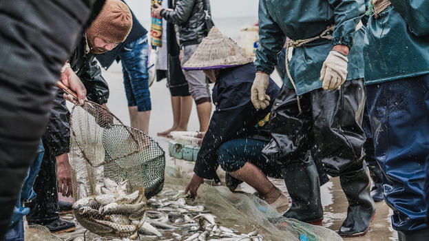 广西北海银滩渔民捕鱼图片素材免费下载