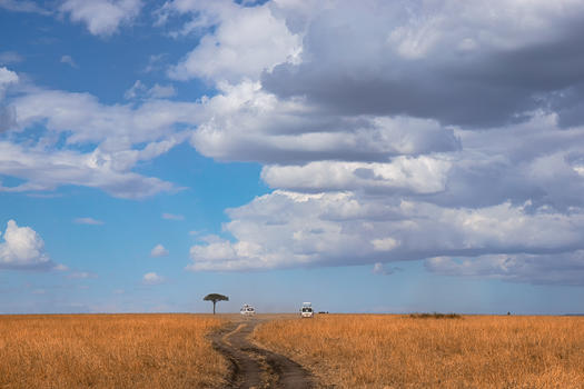 非洲马赛马拉大草原图片素材免费下载