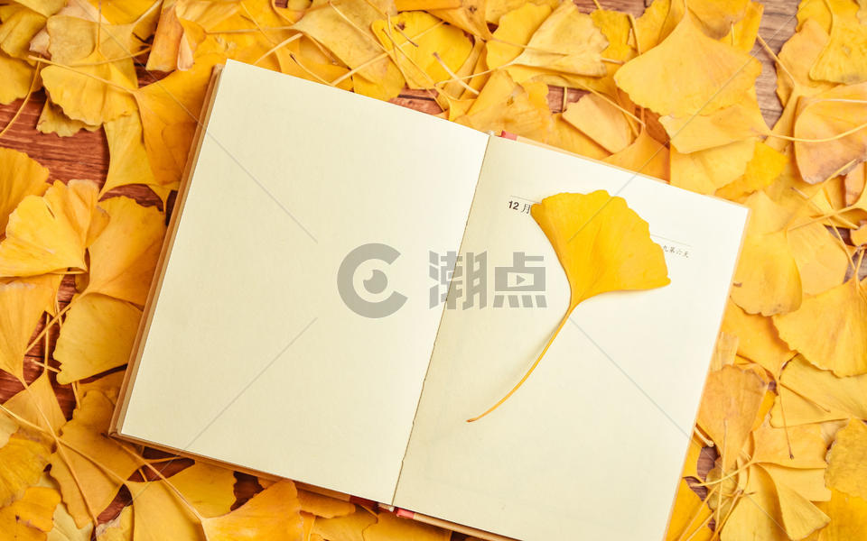 银杏叶与日记本图片素材免费下载