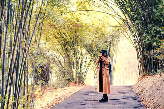 竹林中拍摄风景的人jpg6000*4000PX图片素材