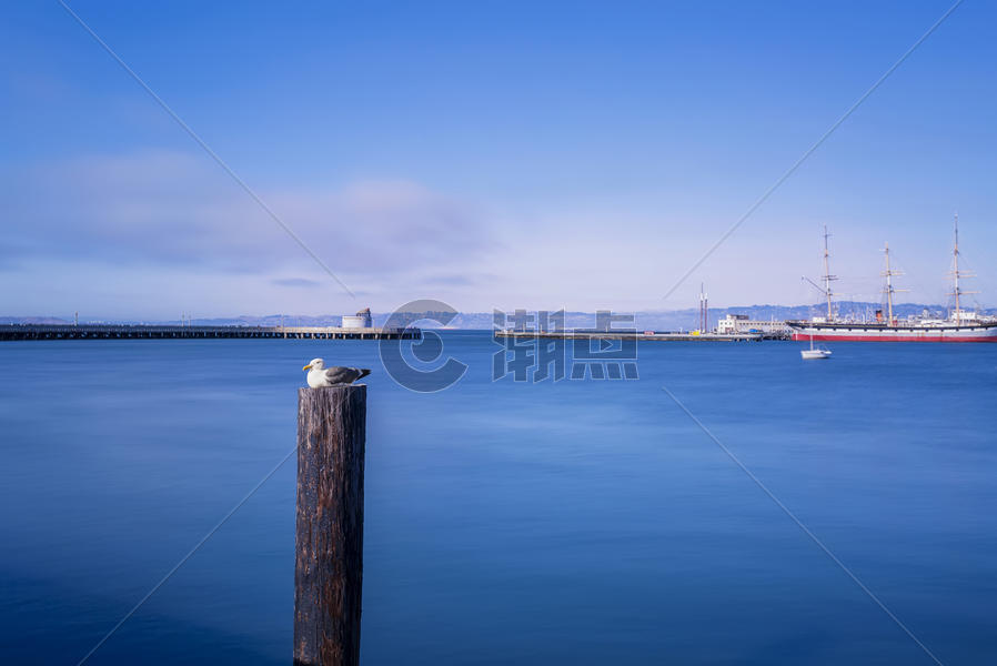 美国加州拉古纳海港图片素材免费下载