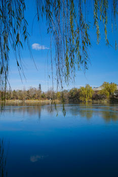 北京初冬的湖边图片素材免费下载