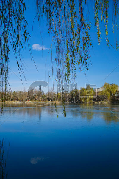 北京初冬的湖边图片素材免费下载