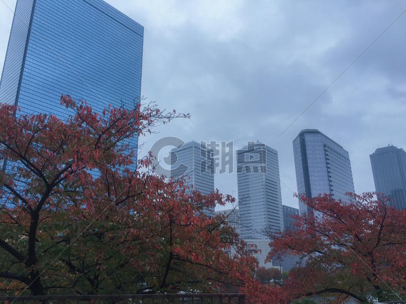 秋天大阪的街景图片素材免费下载