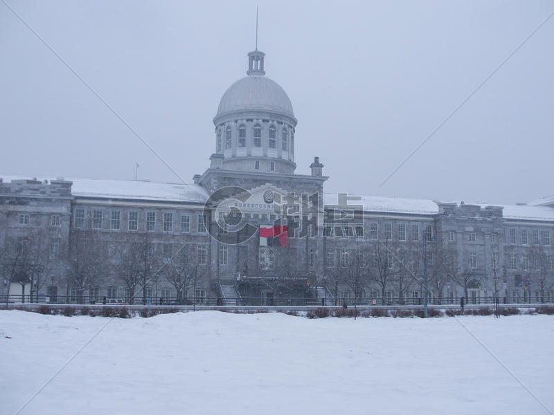 冬季暴风雪中的蒙特利尔一景图片素材免费下载