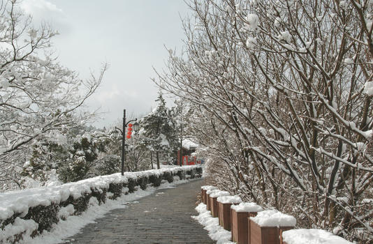山中雪景图片素材免费下载