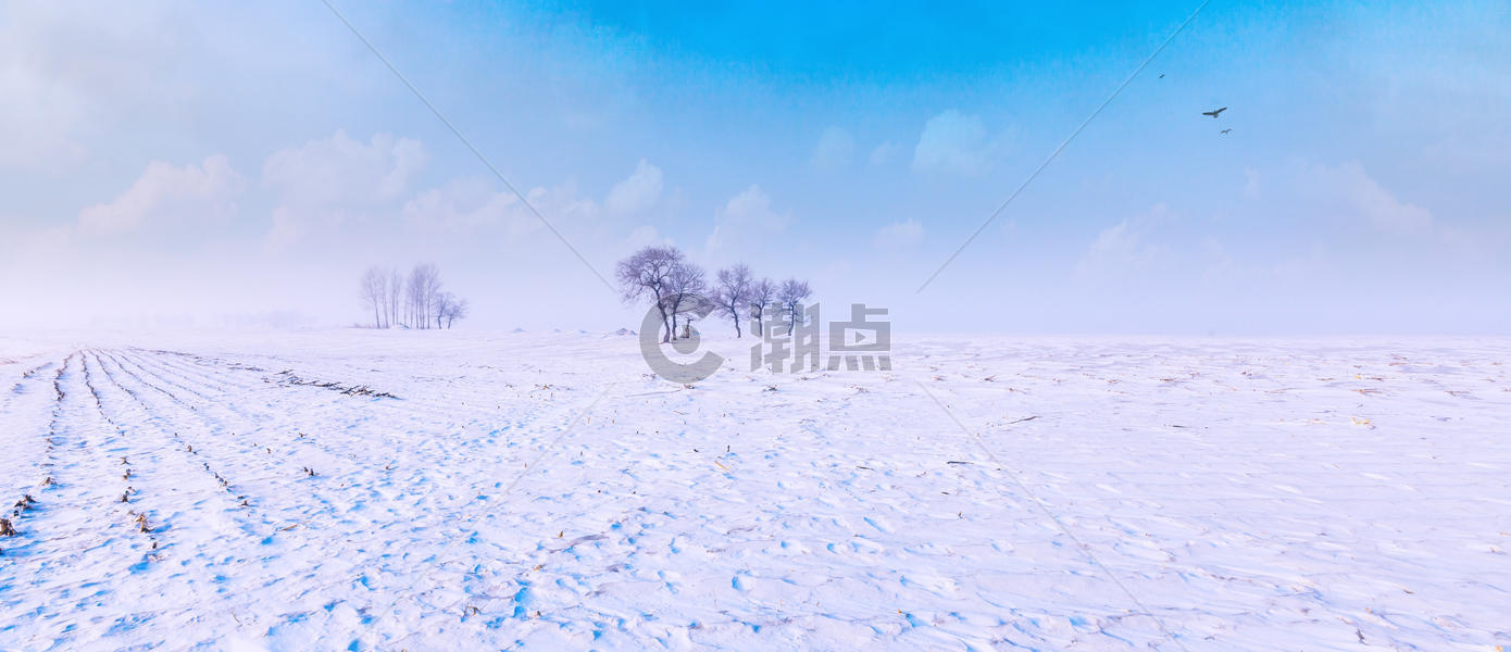 雪地风光图片素材免费下载