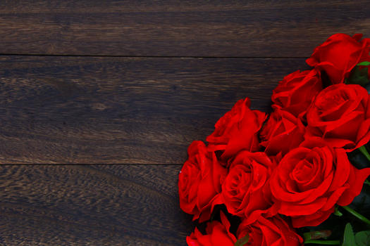 红玫瑰花图片素材免费下载