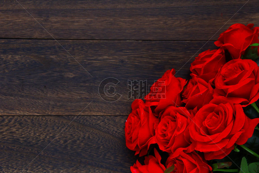 红玫瑰花图片素材免费下载