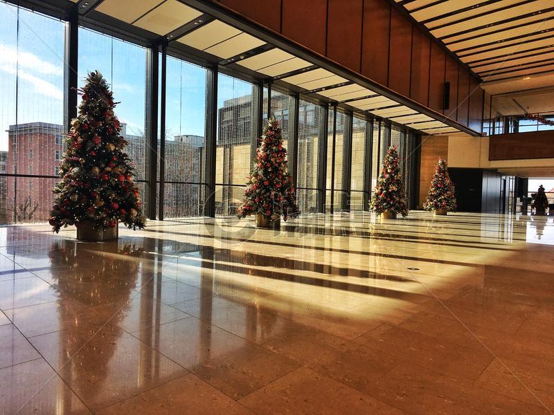 商场大厅里的圣诞树图片素材免费下载