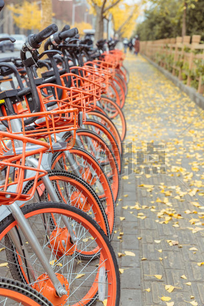 共享单车与银杏落叶图片素材免费下载