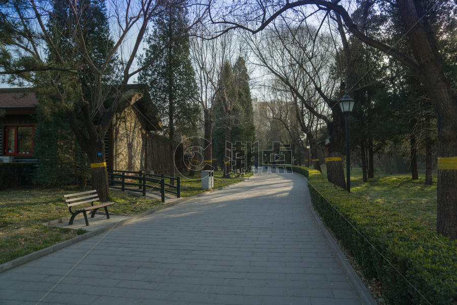 冬天北京某公园的景色图片素材免费下载