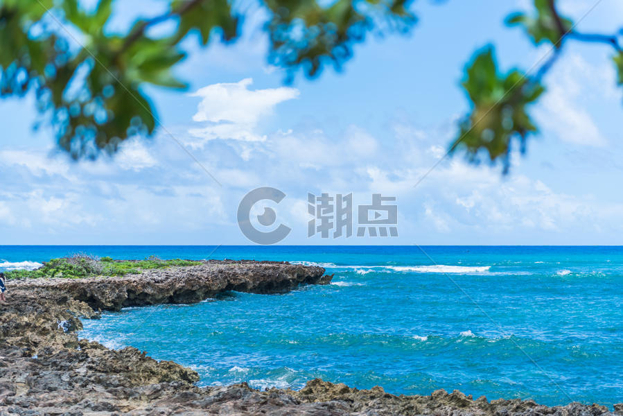 夏威夷海龟湾图片素材免费下载
