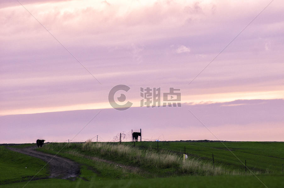 新疆塔城牧场草场风光图片素材免费下载