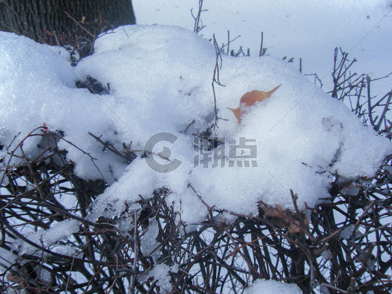加拿大雪后图片素材免费下载