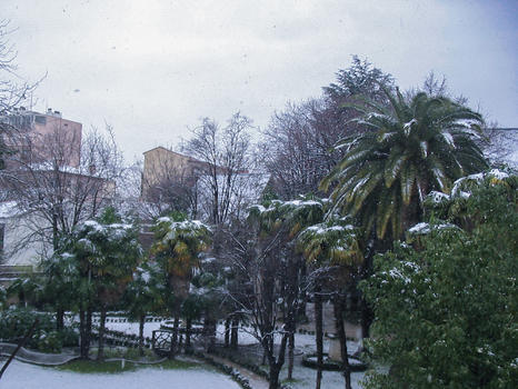 南法冬天下雪了图片素材免费下载