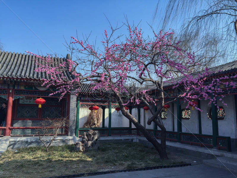 北京大观园的冬天景色图片素材免费下载