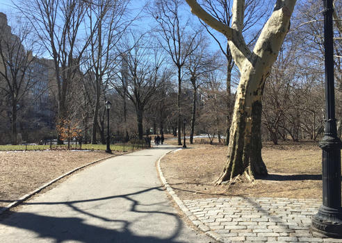 纽约中央公园的冬天图片素材免费下载