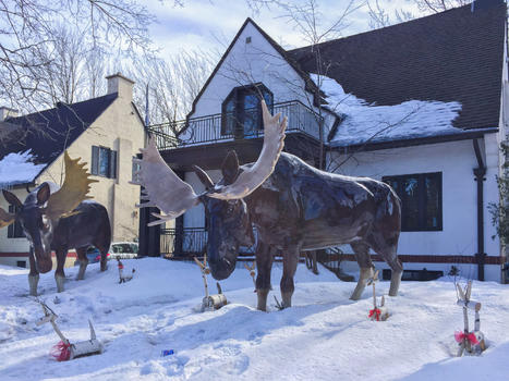 加拿大蒙特利尔雪景一瞥图片素材免费下载