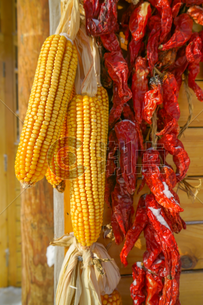 挂着的玉米和辣椒图片素材免费下载