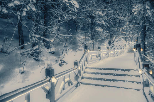 夜晚森林雪景图片素材免费下载