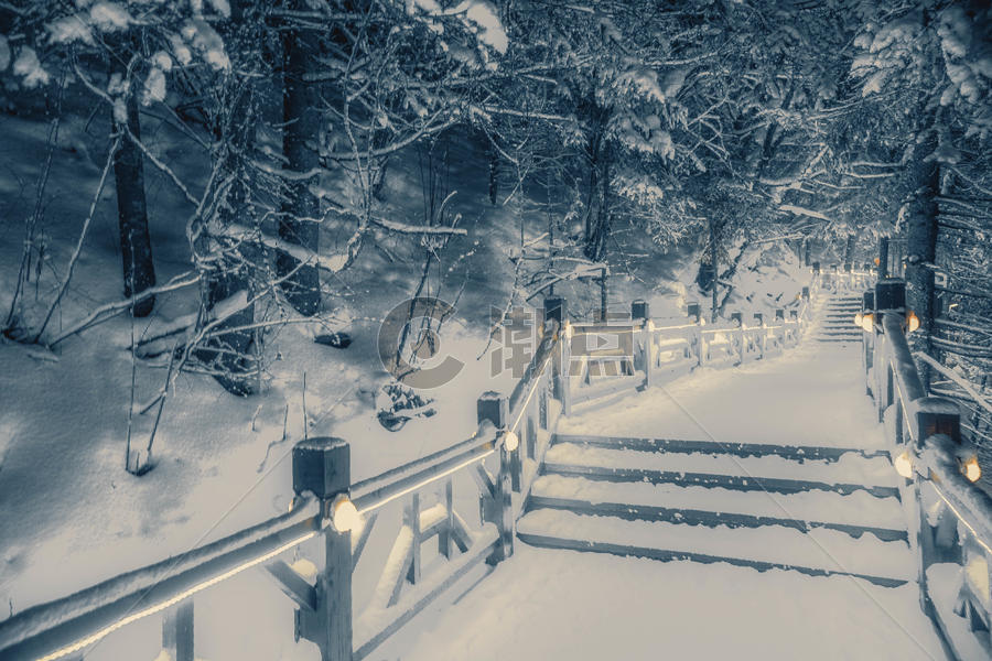 夜晚森林雪景图片素材免费下载