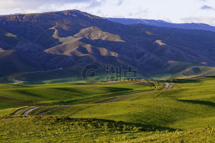 新疆塔城草场牧场线条光影图片素材免费下载