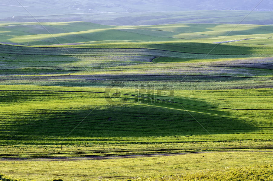 新疆塔城草场牧场线条光影图片素材免费下载