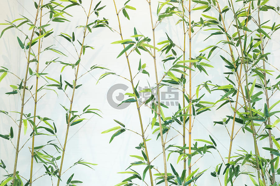 中国风竹叶竹子图片素材免费下载