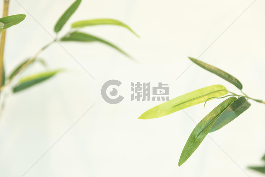 中国风竹叶竹子图片素材免费下载